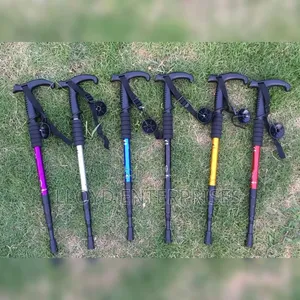 Anti Shock Trekking Pole