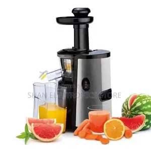 Reki J2-200 Electric Slow Juicer High Efficiency Motor Food Grade Cup