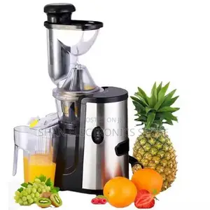 Heavy Duty Reki Juicer Extractor J2-200 Slow Juicer