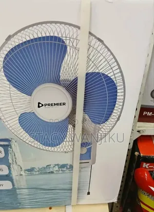 Mounted Premier Wall Fan