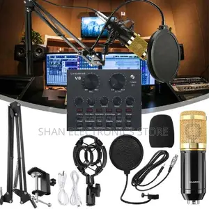 Bm-800 Professional Condenser Microphone With V8 Soundcard