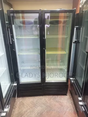 Well Maintained Chiller 300l Display