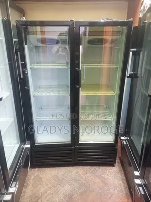 Well Maintained Chiller 300l Display