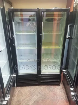 Well Maintained Chiller 300l Display