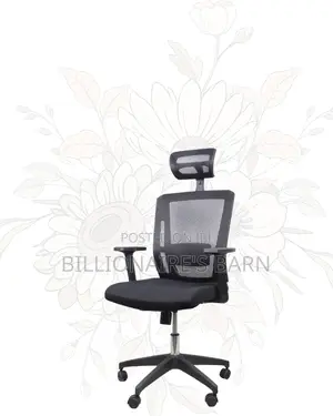 Mesh Work Chair With Lumbar Support | Nylon Base, Solid Support