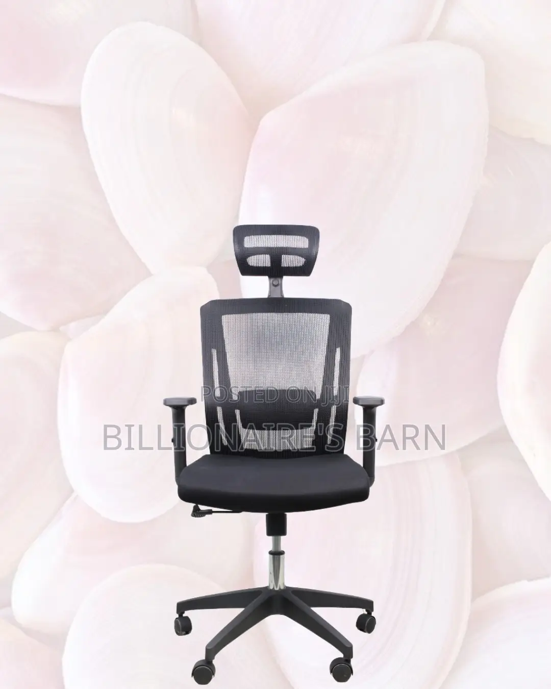 Breathable Mesh Chair for Long Hours | Nylon Base, Solid Support