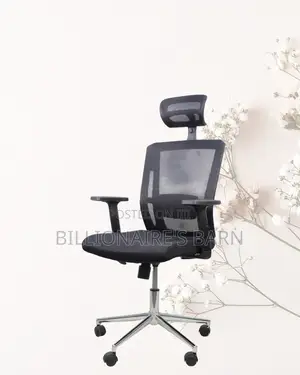 Adjustable Mesh Work Chair | All-Day Back Support