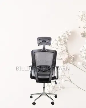 Adjustable Mesh Work Chair | All-Day Back Support