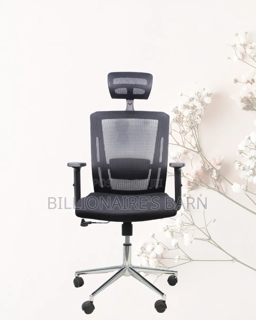 Adjustable Mesh Work Chair | All-Day Back Support