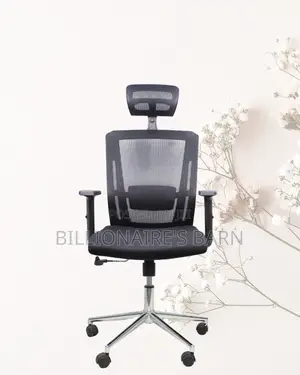 Adjustable Mesh Work Chair | All-Day Back Support