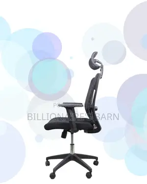 Mesh Work Chair With Lumbar Support | Ideal for Students Creatives