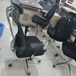 Lumbar Orthopedic Seat
