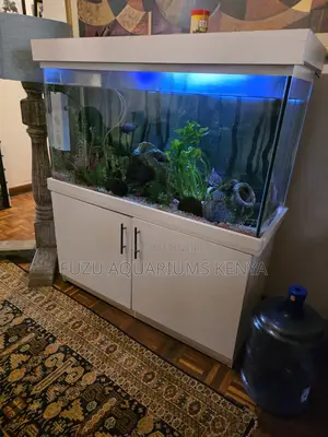 Stunning Medium Aquarium + White Stand - Fully Loaded!