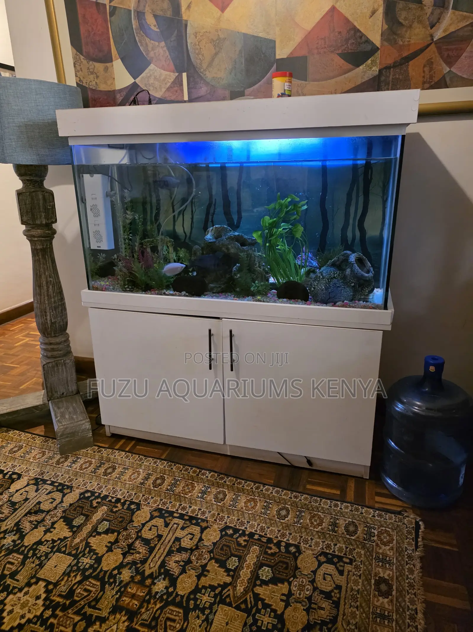 Premium White Cabinet Aquarium Package - Move-in Ready
