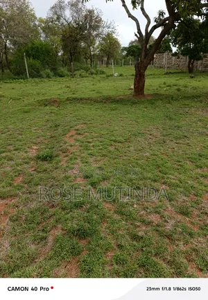 50by 100 at Nguluni