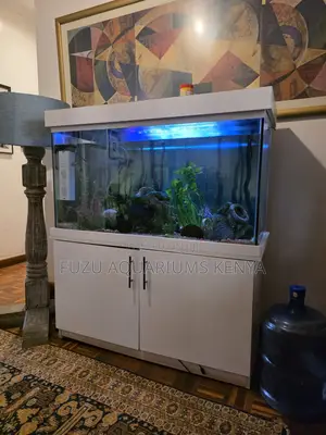Plug Play Aquarium With White Stand