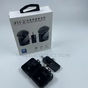 Affordable Microphone F15-2 Double Wireless Phone Mic