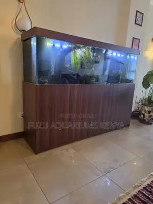 Pro-Grade Sump Aquarium for Your Home