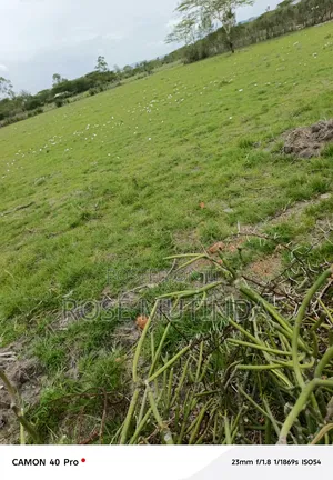 3 Acres at Nguluni