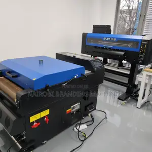 60cm DTF Printing Machine With 2pcs Xp600 Print Heads