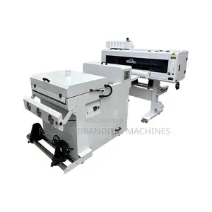 30cm DTF Printer With 2pcs Xp600 Printheads and Powder Shaker