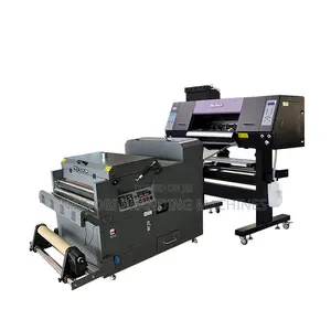 30cm Automatic DTF Printing Machine Dual Head Epson Xp600