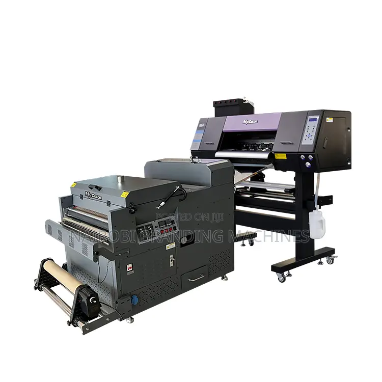 30cm Automatic DTF Printing Machine Dual Head Epson Xp600
