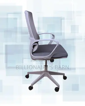 Ergonomic Ergonomic Mesh Chair | Order Yours Today