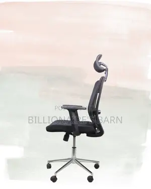 Breathable Mesh Office Chair | Premium Look, Daily Comfort