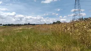 Land for Sale in Olkalou