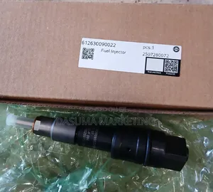 Weichai Fuel Injector 