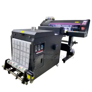30cm DTF Digital Inkjet Printer With 2 Print Heads With Shaker Machine