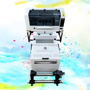 30cm DTF Printer (2pcs Xp600 Heads) for Clothes and T Shirt Printing
