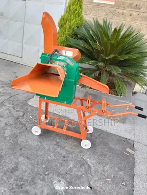 3 in 1 Chopper Grinder