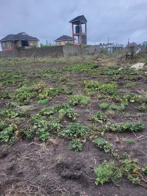 Plot for Sale in Joska Kausyiani
