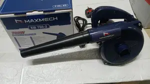 Electric Blower 700w