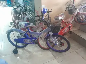Rbo Size 20" Kids Bicycle With Training Wheels