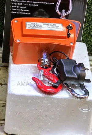 500kg Digital Crane Scale