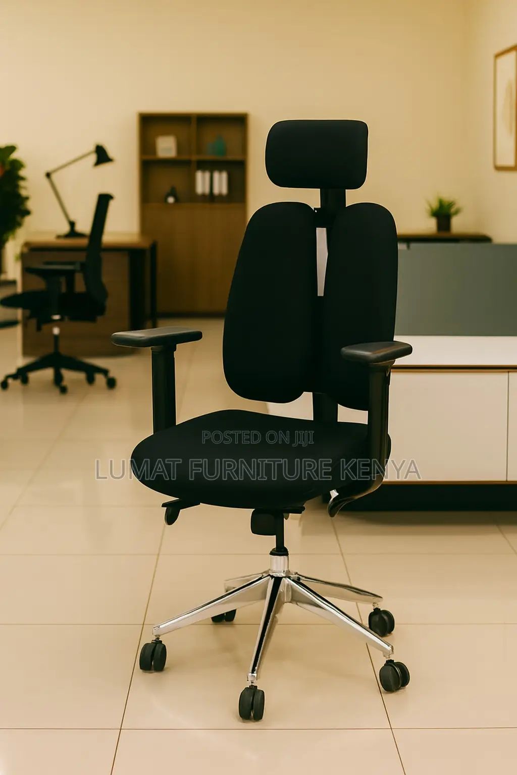Orthopedic Backrest Seat
