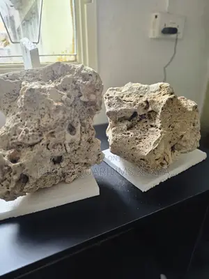 Natural Coral Rock for Aquariums — Premium Porous Reef Base Stone