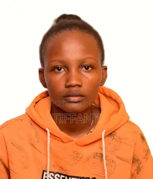 Software Engineer