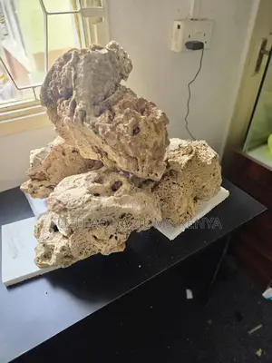 Natural Porous Coral Rock — Perfect for Aquascaping Fish Shelters