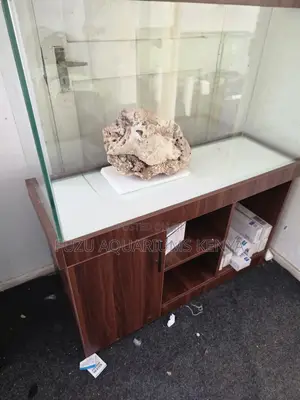 Real Oceanic Dry Reef/ Coral Rock Foundation