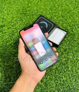 Apple iPhone 12 Pro 128 GB Gray