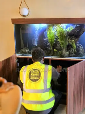 Professional Aquarium Maintenance Service