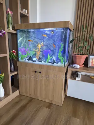 Your New Medium Aquarium Cabinet