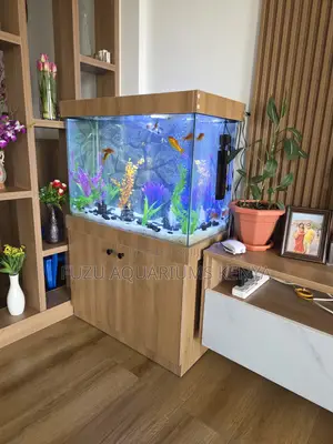 Beautiful Plug-and-Play Aquarium Set
