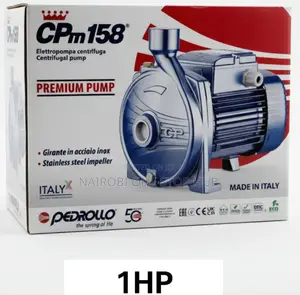 Pedrollo Single-Phase Centrifugal Electric Pump.
