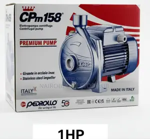 Single-Phase Centrifugal Electric Pump.