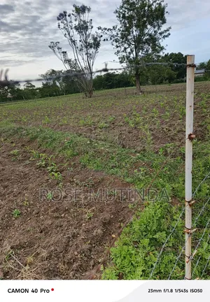 1acres Ar Syanthi